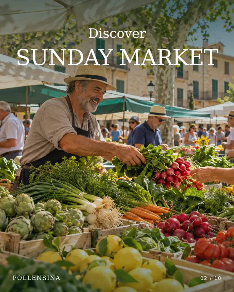 Editorial recreation of Pollença Sunday market